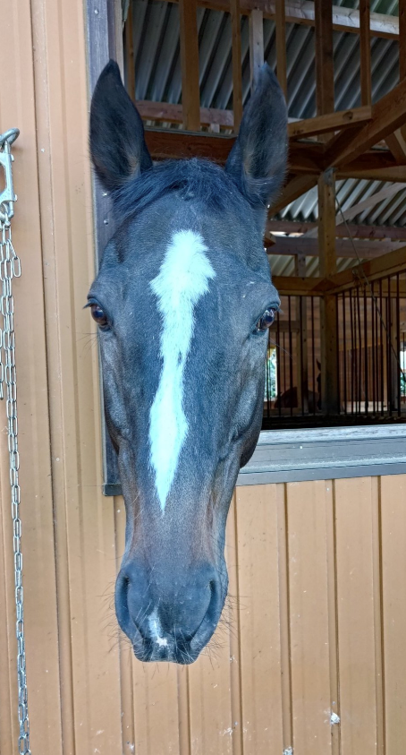 8a520b1b83bc1bbdfebf3de279b9d3cf-1761879749.png 8a520b1b83bc1bbdfebf3de279b9d3cf-1761879749.png